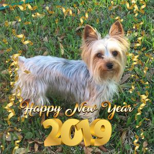 Meet your Posher, Debbie